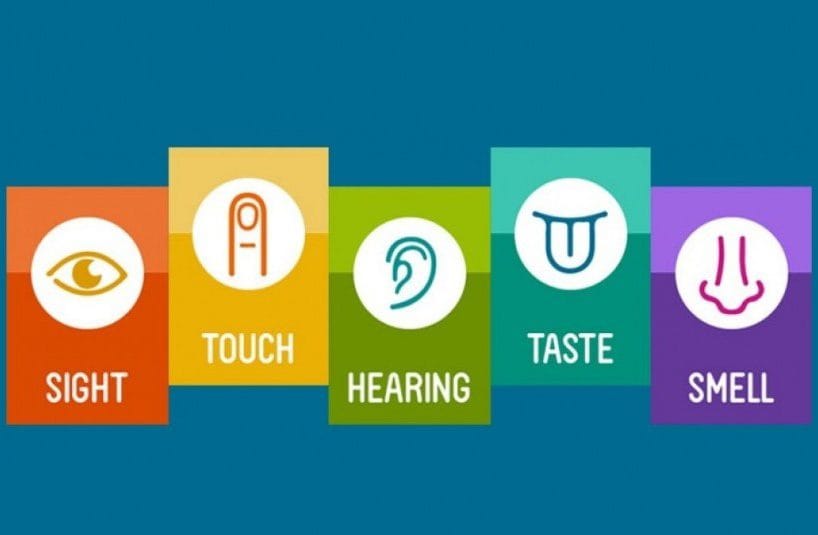 بازاریابی حسی