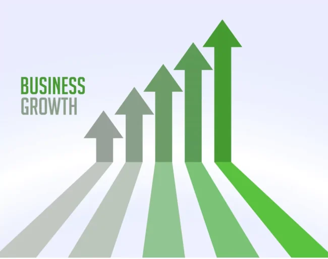 رشد کسب و کار یا تثبیت